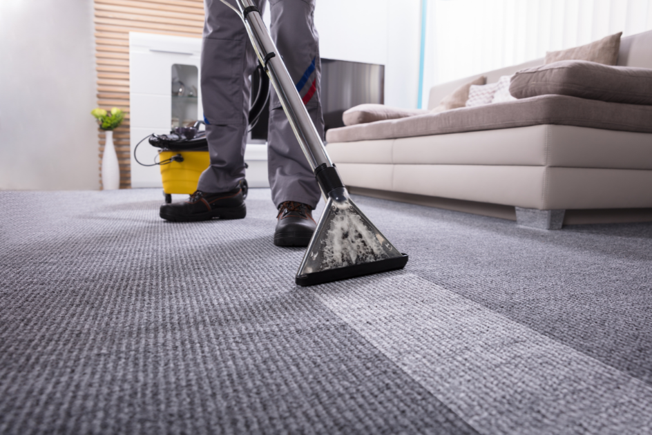 A person vacuuming carpet